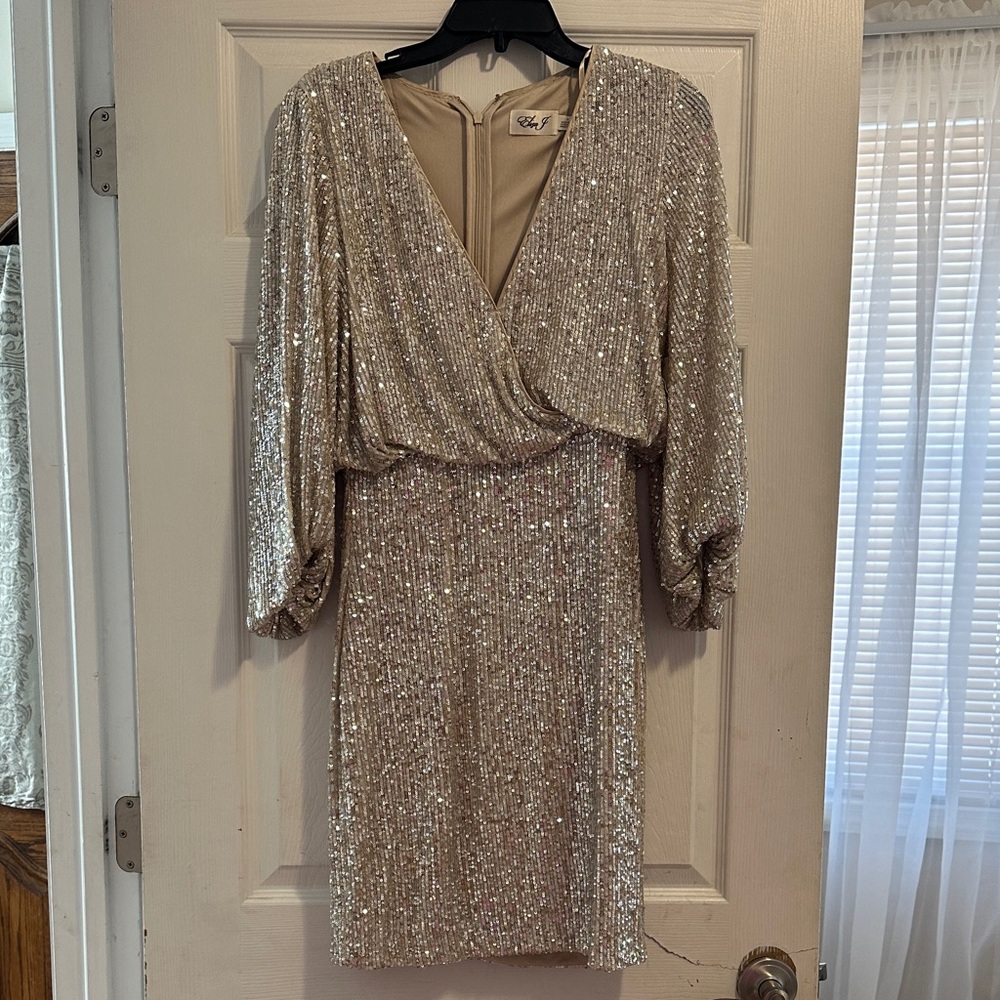 Eliza J Shimmering Long Sleeve Dress in Silver